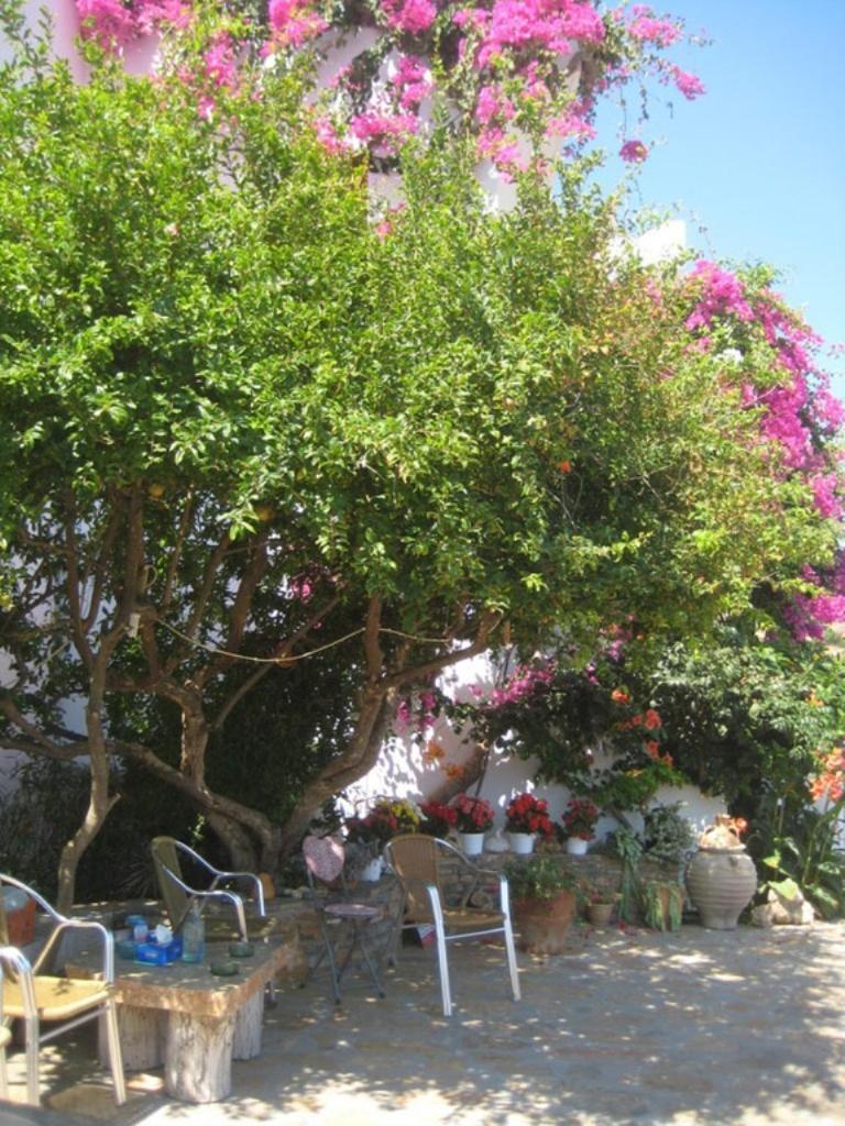 Mochlos Mare Buitenkant foto